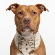 Harvest Gentleman Bandana
