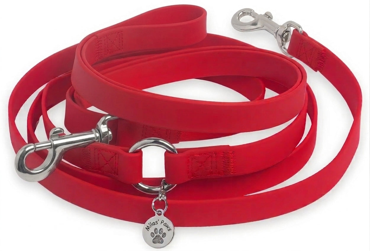 Hands-Free Waterproof Leash