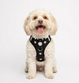 The Petite Harness