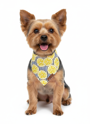 Zesty Days Bandana