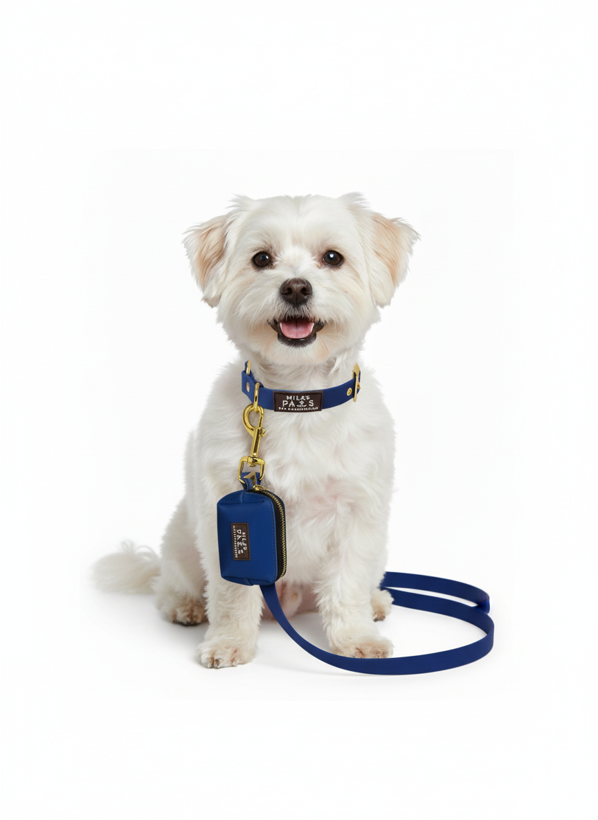 Hands-Free Waterproof Leash