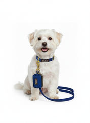 Hands-Free Waterproof Leash