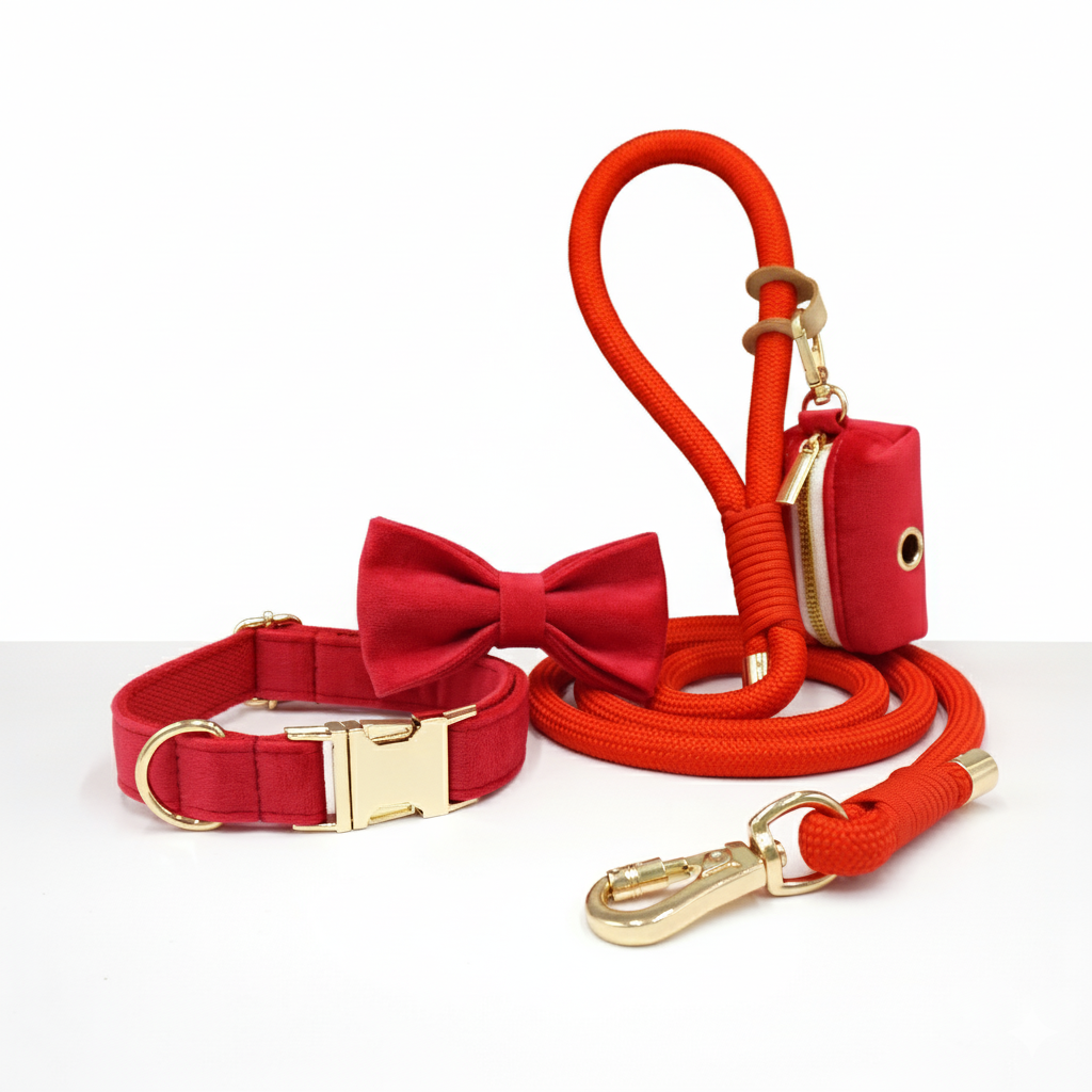Paw Gift Bundle #2 - Collar, Leash, Poop Bag & Bowtie