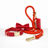 Luxe Velvet Rope Walking Bundle