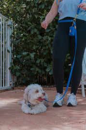 Waterproof Hands-Free Walking Bundle