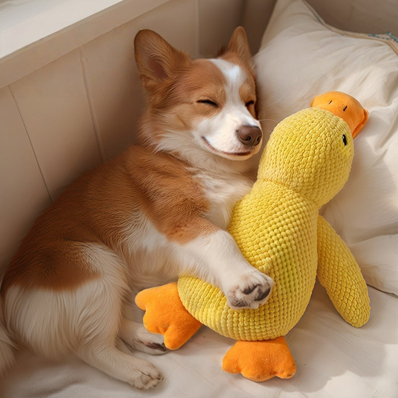 Golden Quack
