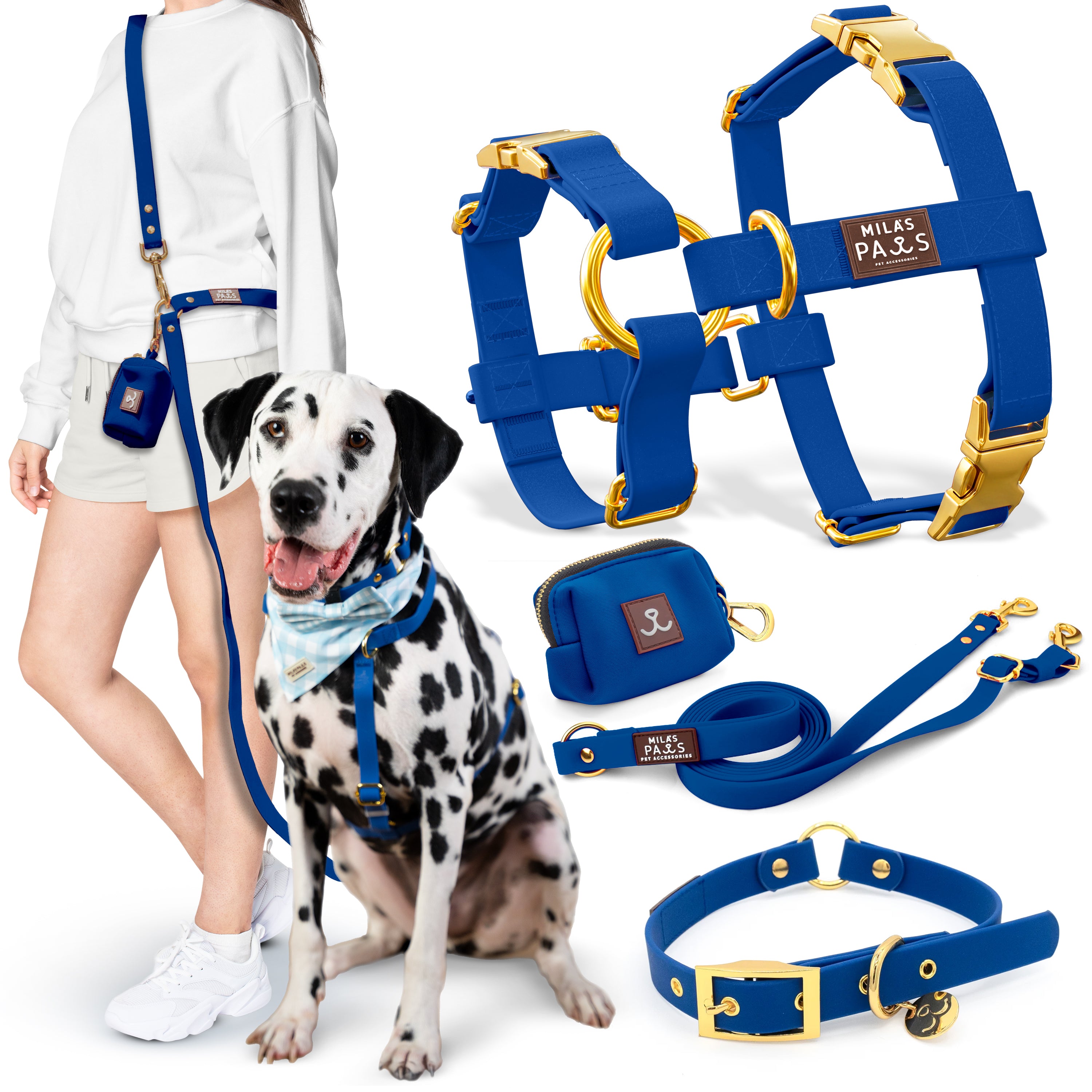 Hero_Image_-_BLUE_-_Deluxe_Bundle_L.jpg