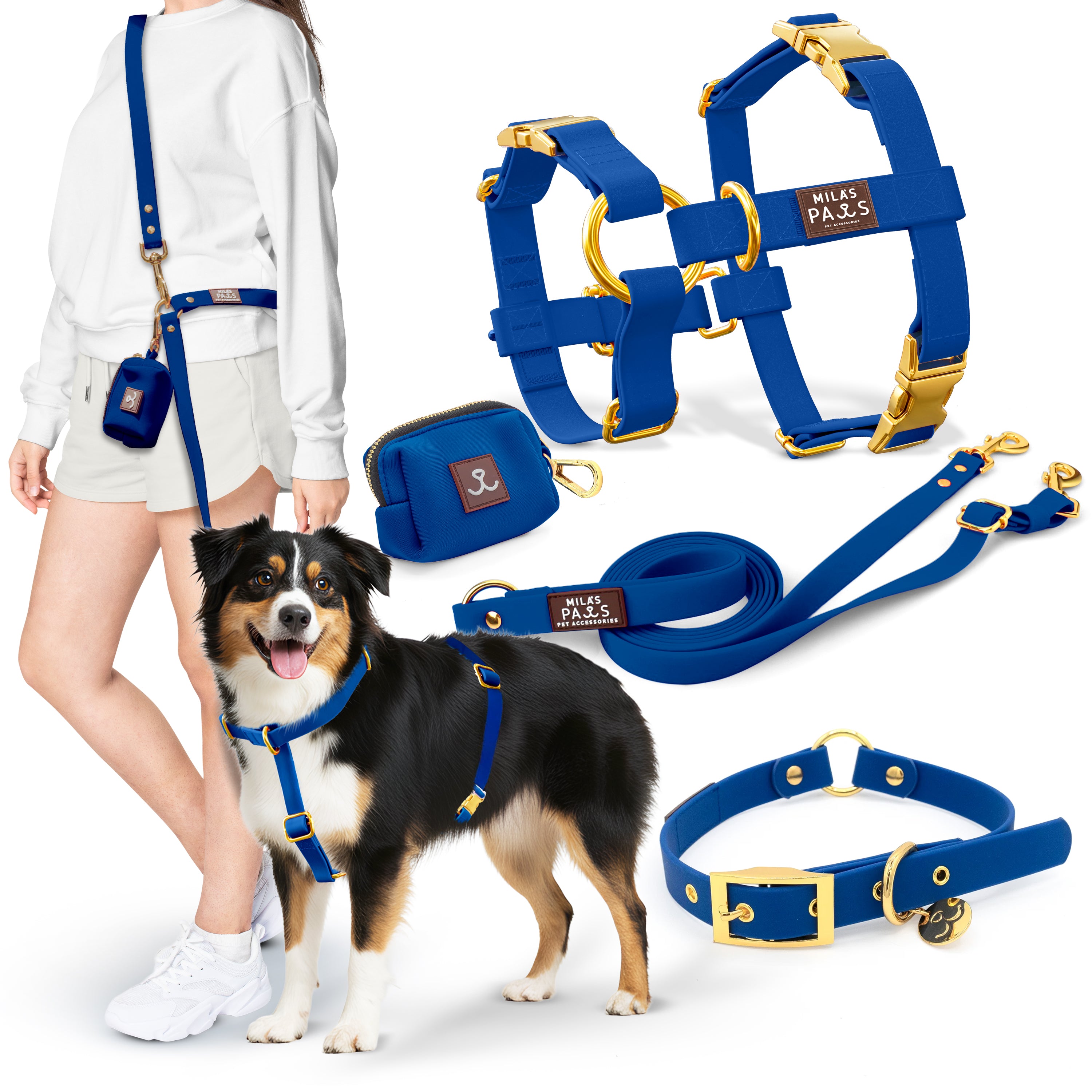 Hero_Image_-_BLUE_-_Deluxe_Bundle_M.jpg