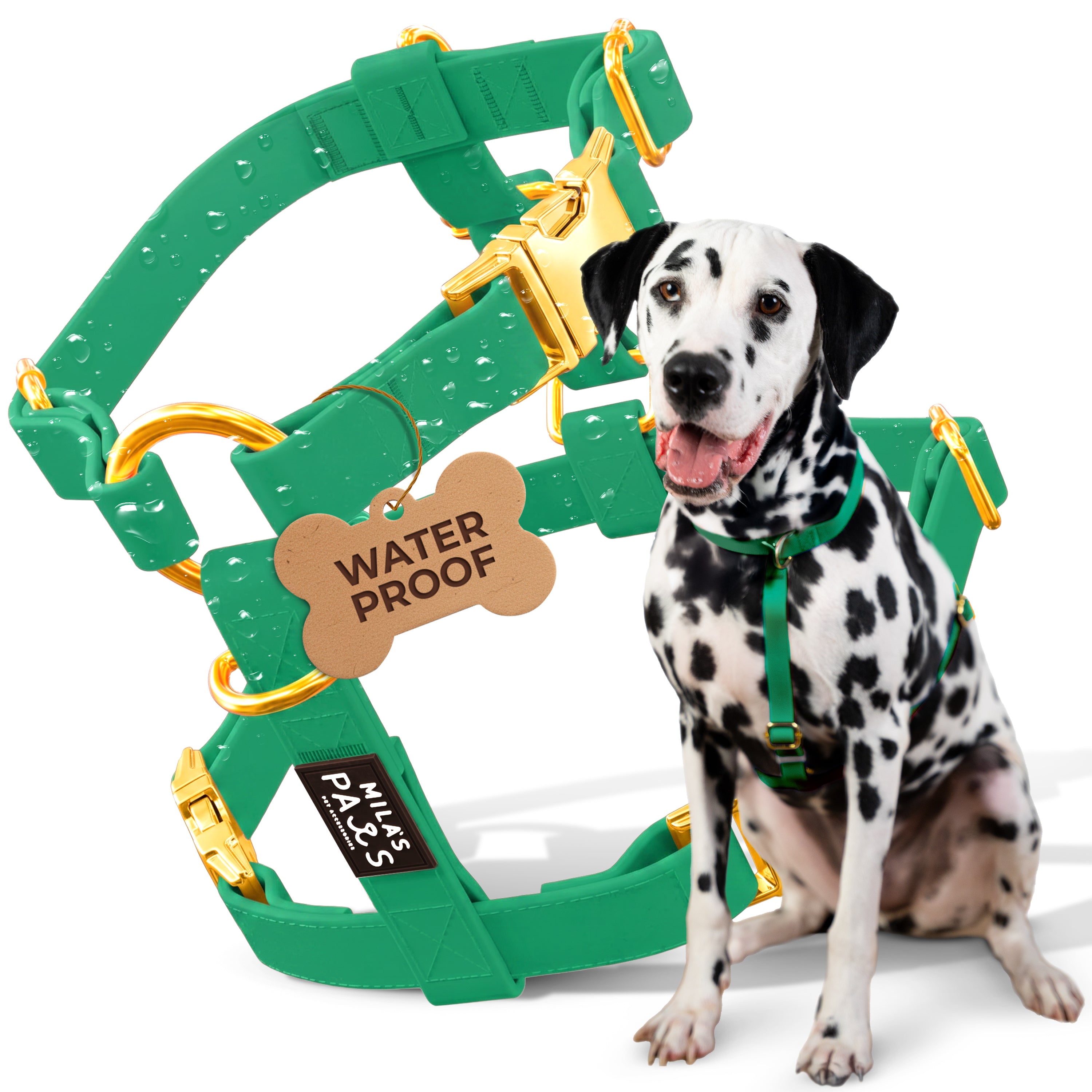 Hero_Image_-_Y_Harness_Large_-_GREEN.jpg