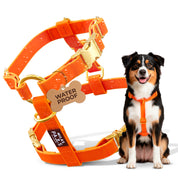 Waterproof Harness