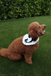 The Nautical Mariner Bandana