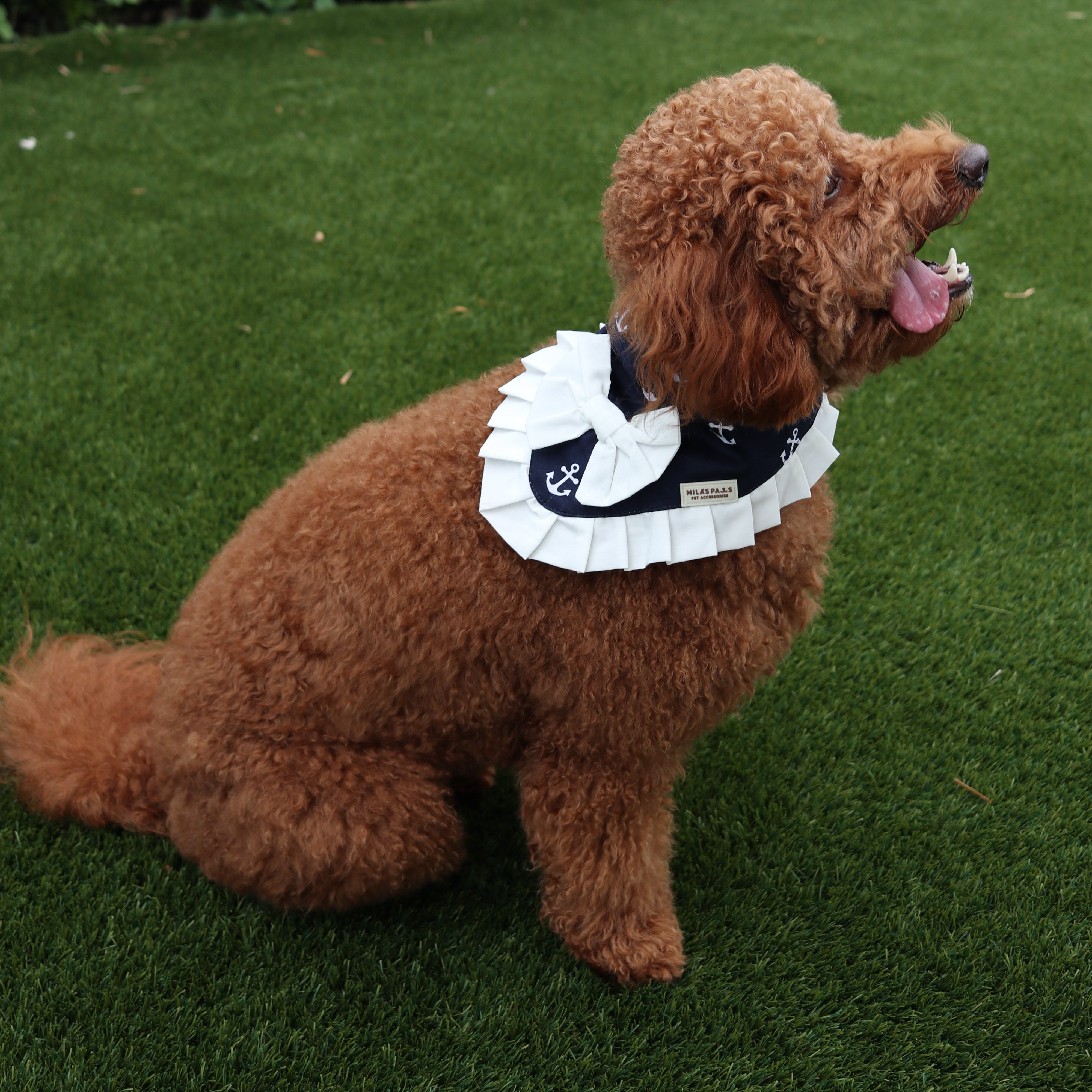 The Nautical Mariner Bandana