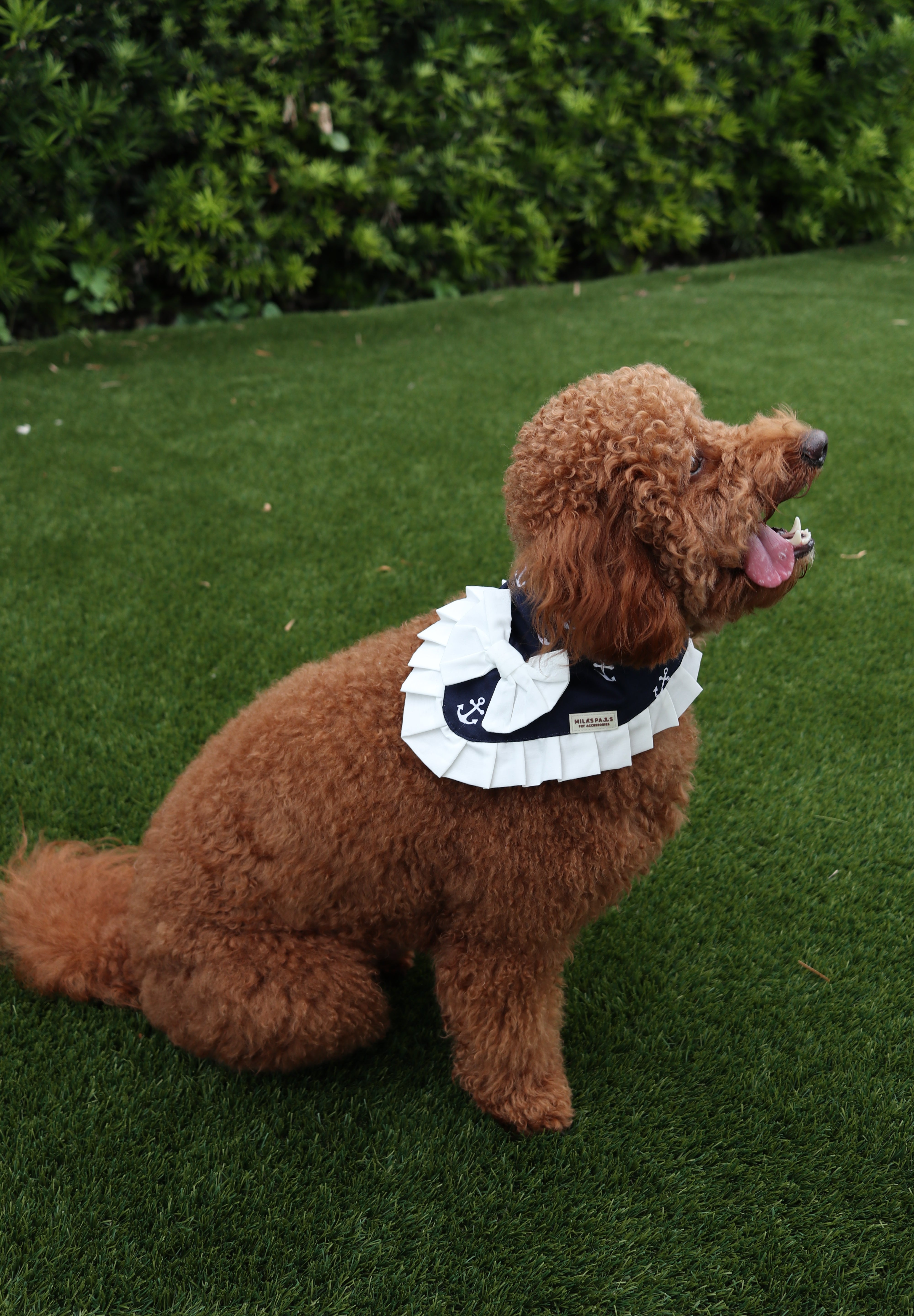 The Nautical Mariner Bandana