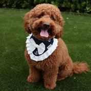 The Nautical Mariner Bandana