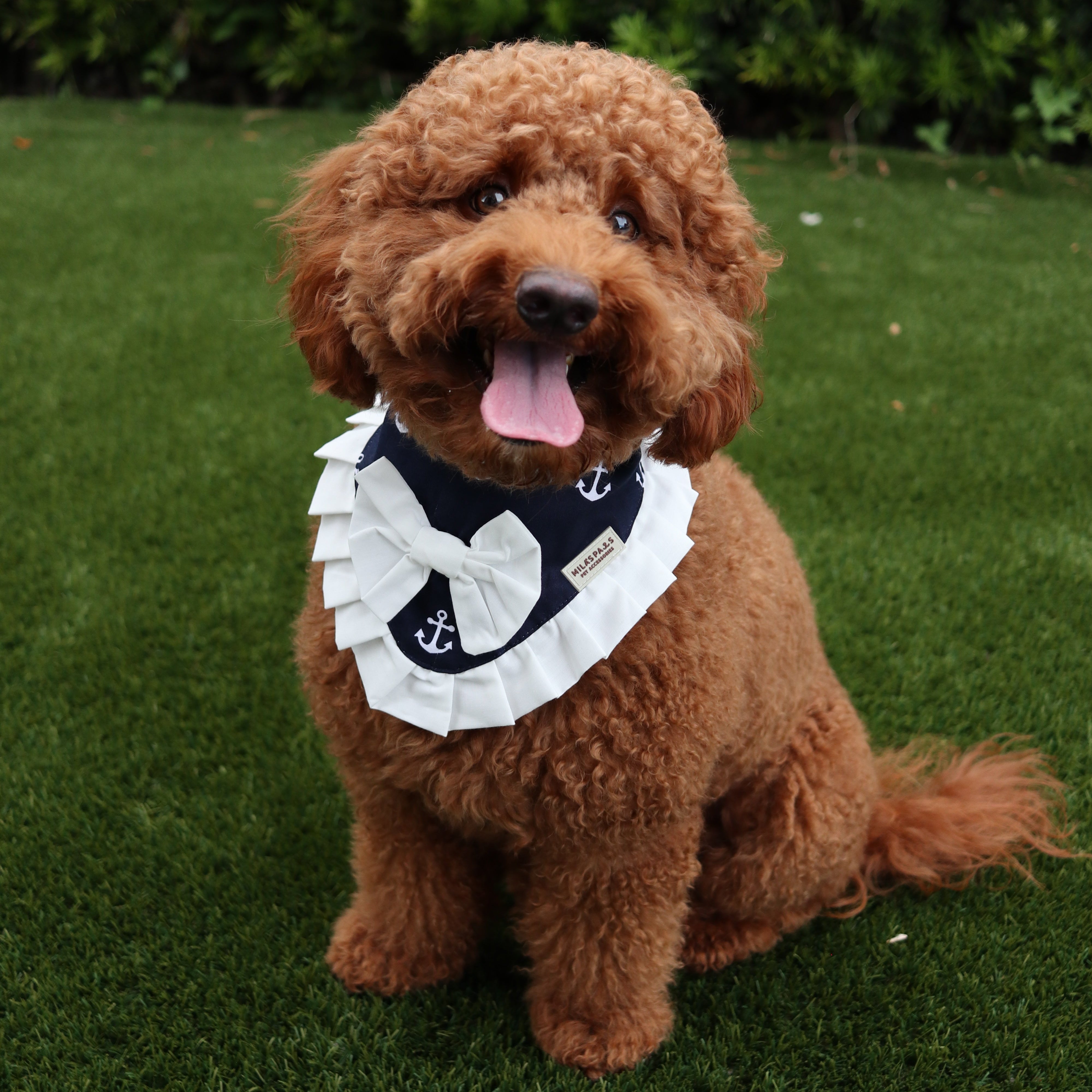 The Nautical Mariner Bandana