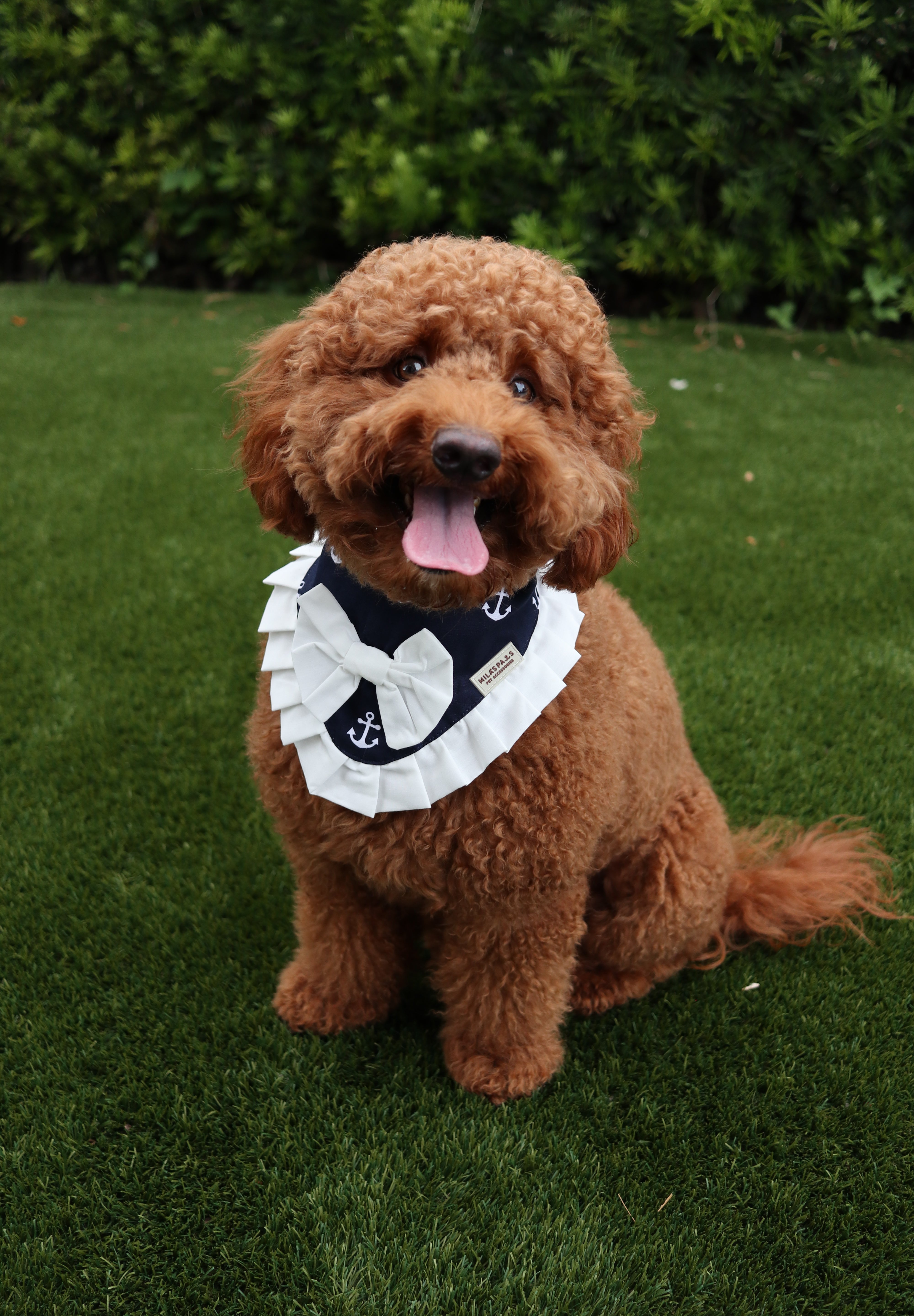 The Nautical Mariner Bandana