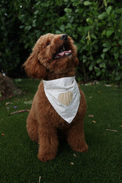 Nude Heart Bandana