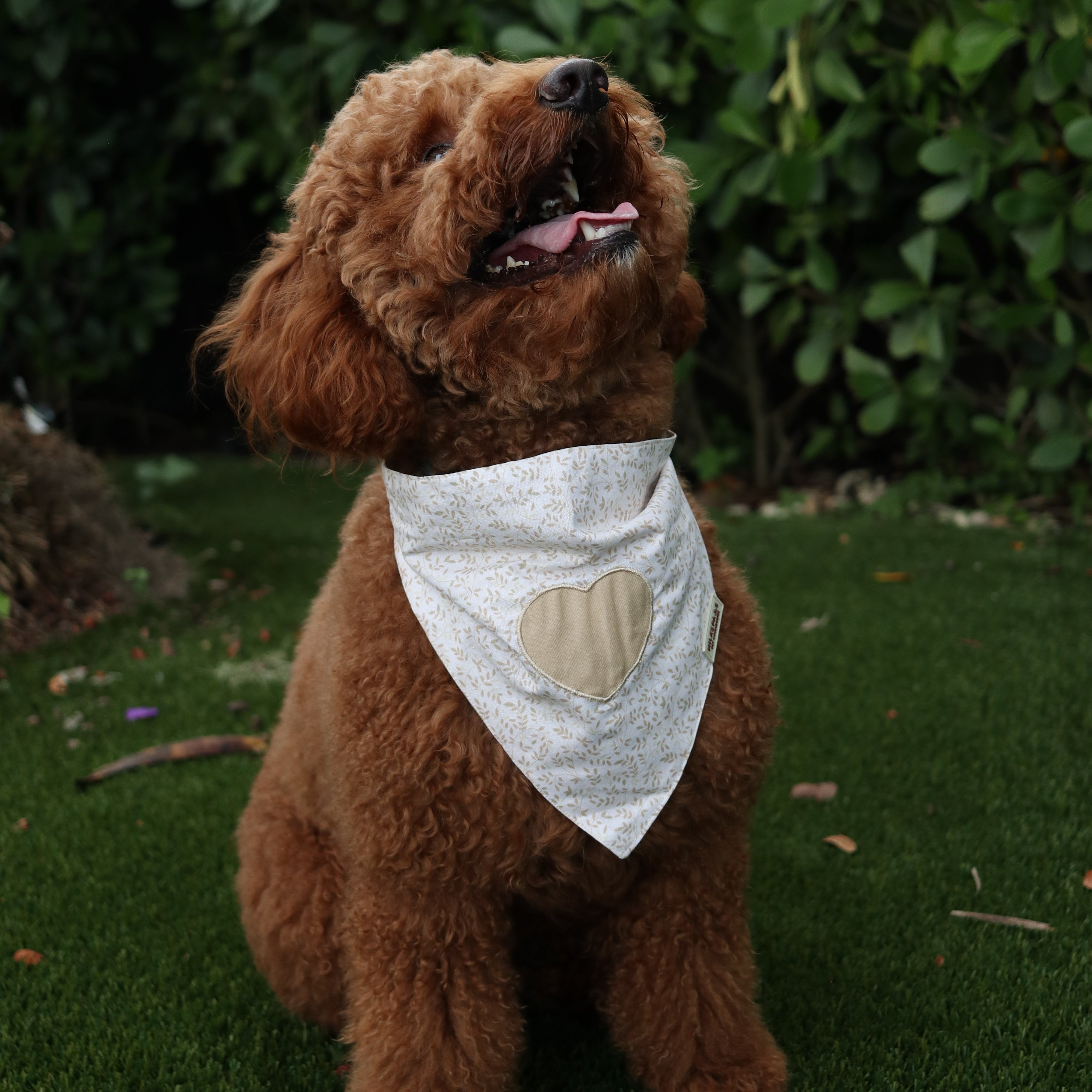 Nude Heart Bandana
