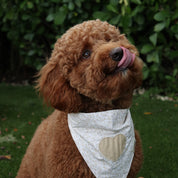 Nude Heart Bandana