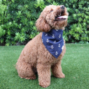 The Nautical Mariner Bandana