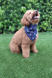 The Nautical Mariner Bandana