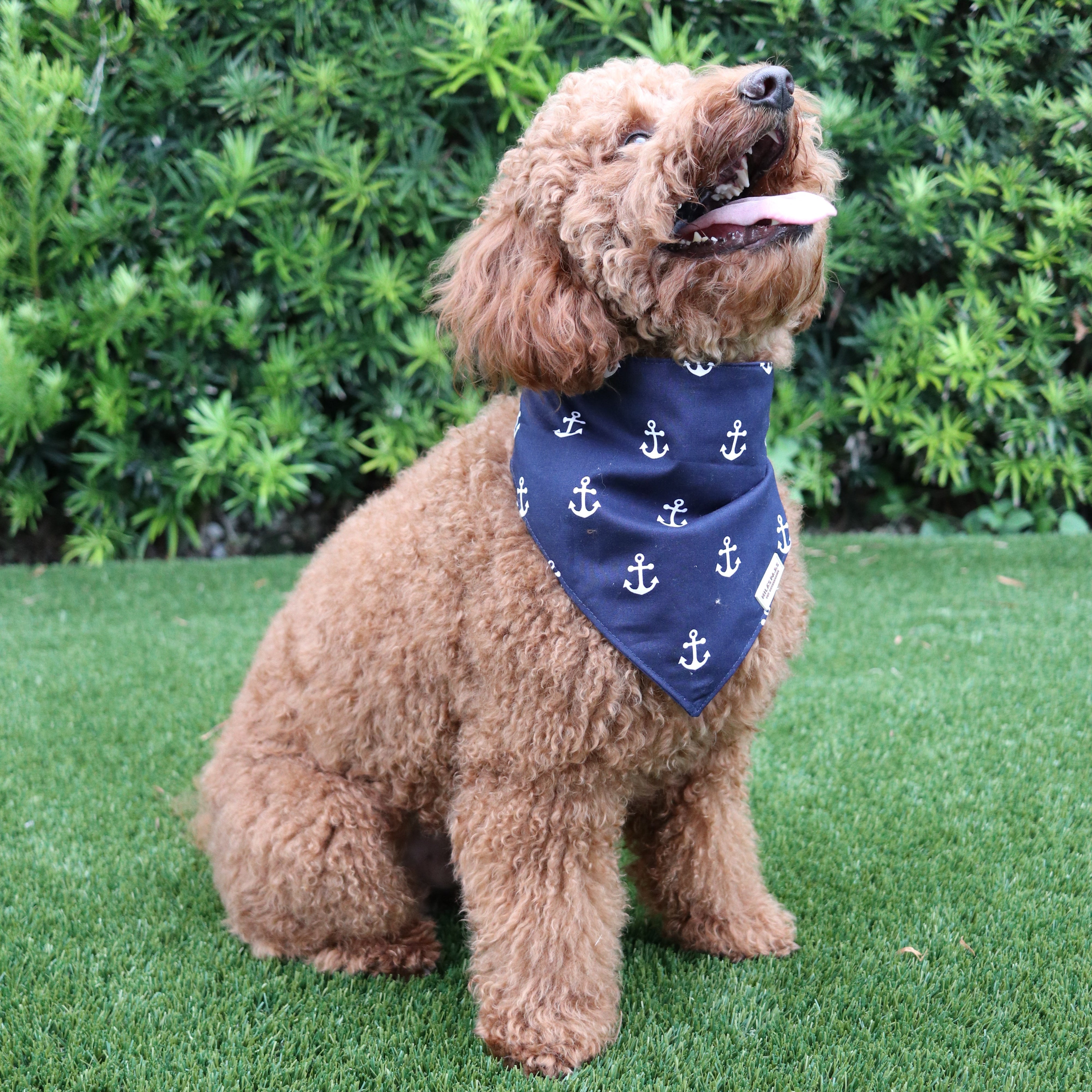 The Nautical Mariner Bandana