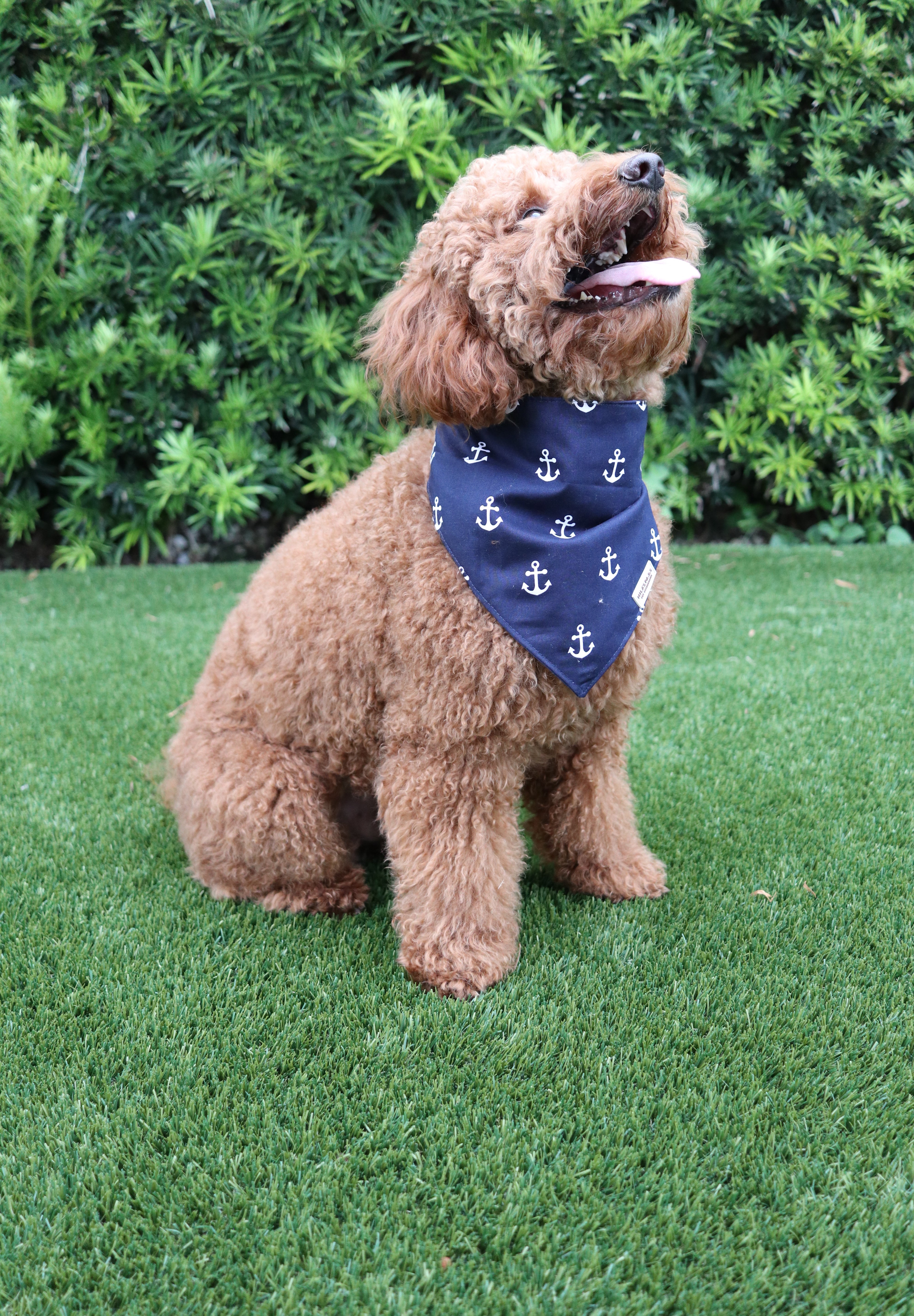 The Nautical Mariner Bandana