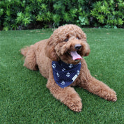 The Nautical Mariner Bandana