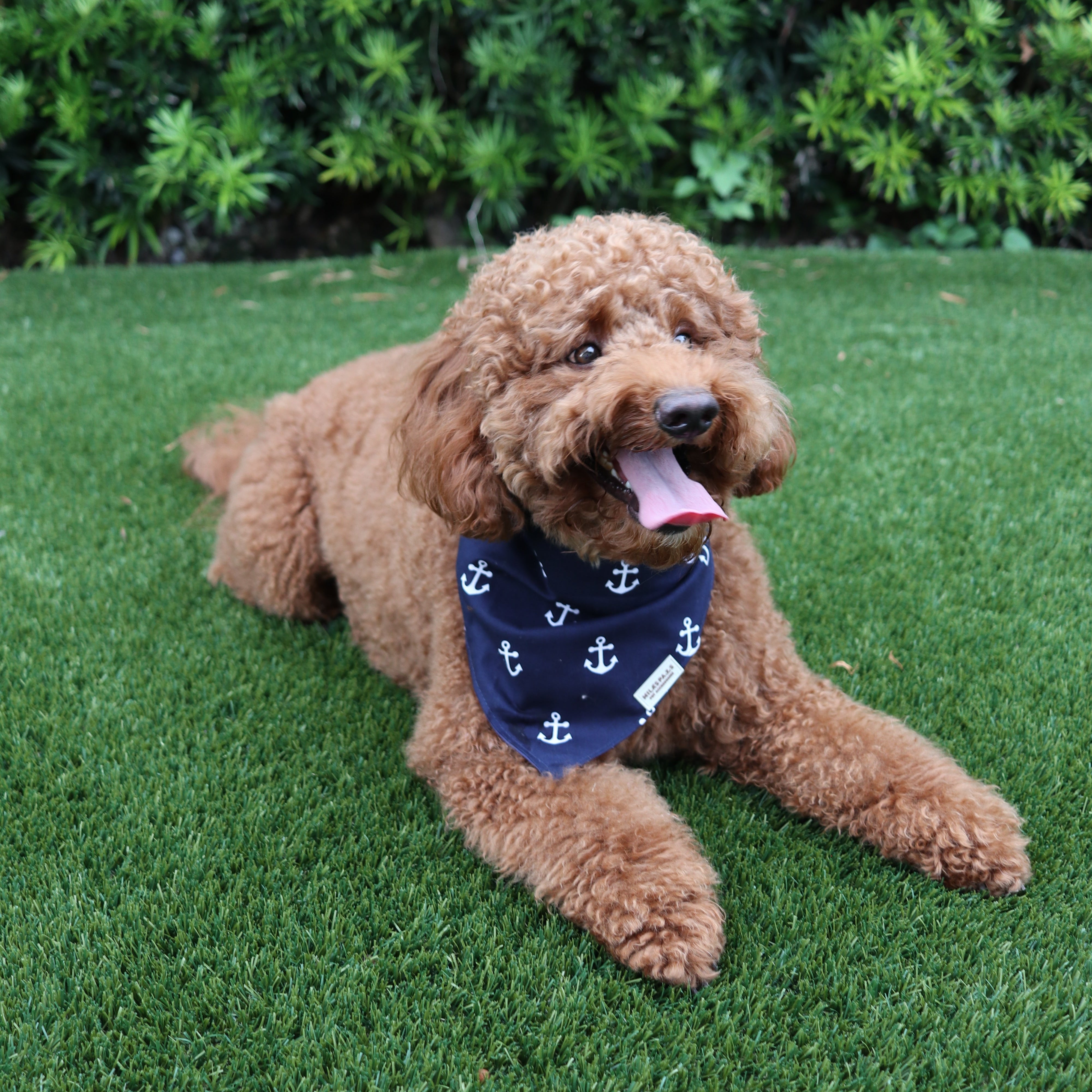The Nautical Mariner Bandana