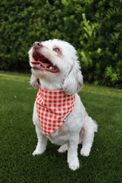 Orange and White Gingham Bandana