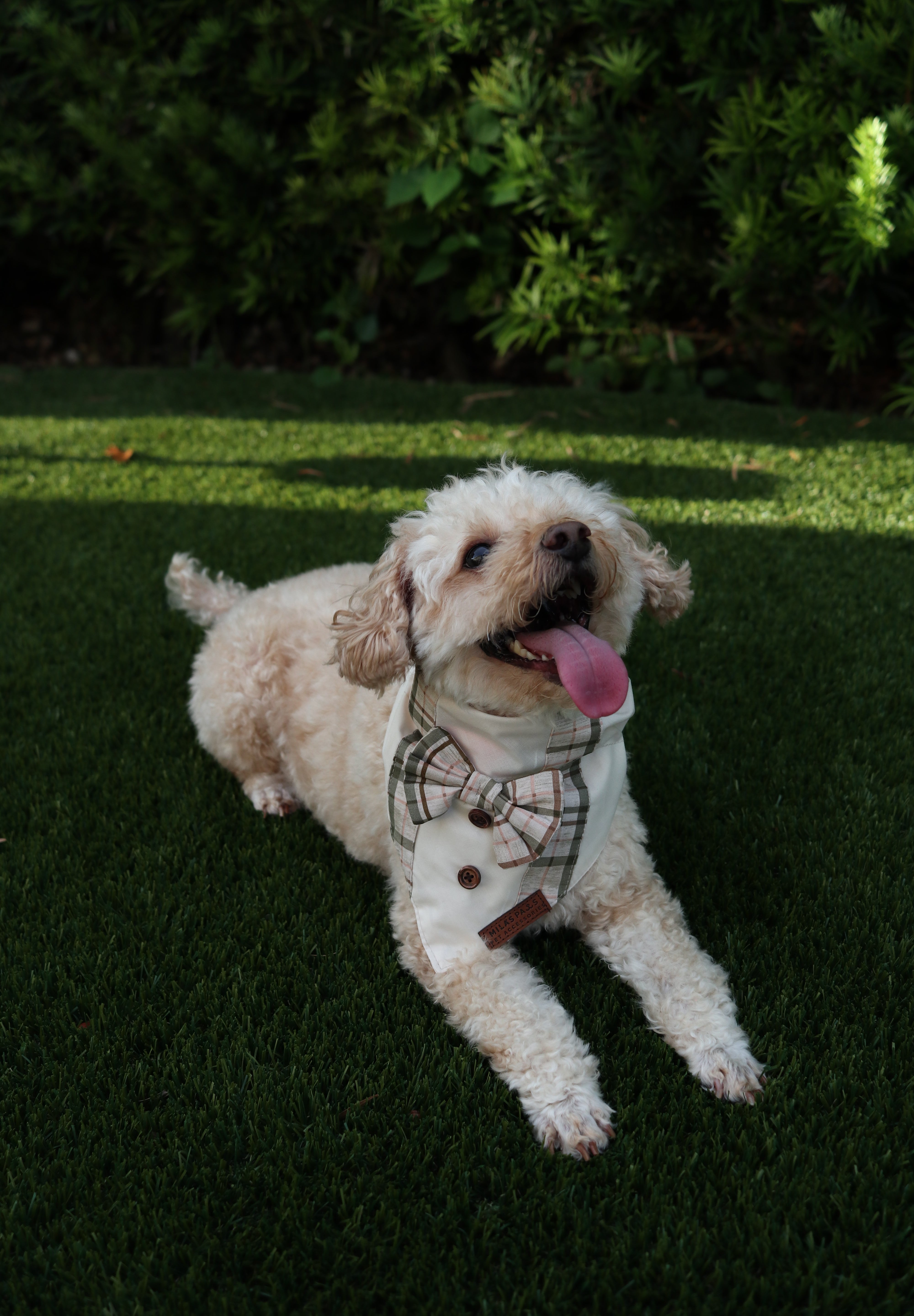 Harvest Gentleman Bandana