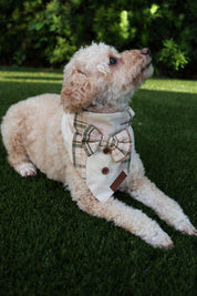 Harvest Gentleman Bandana