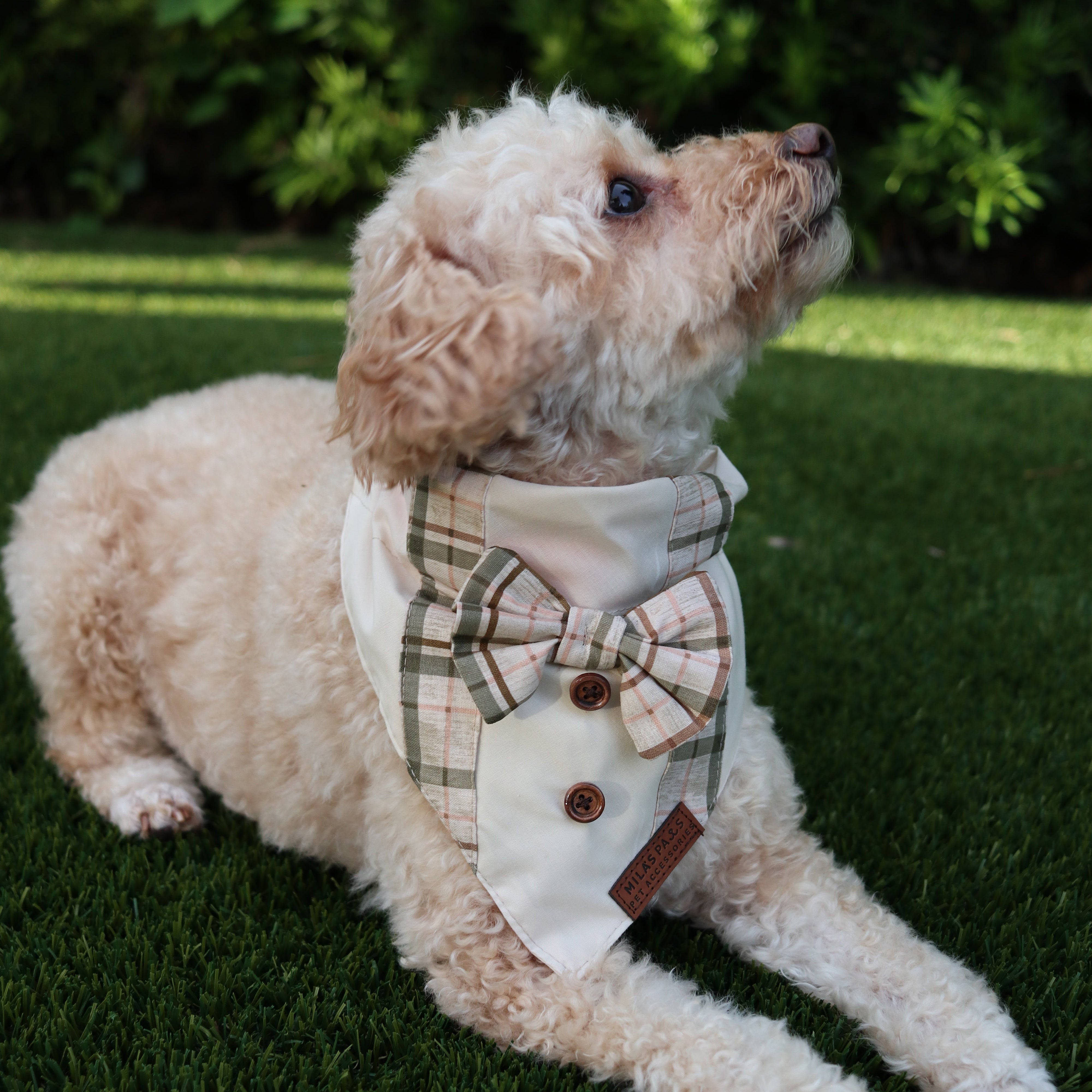Harvest Gentleman Bandana