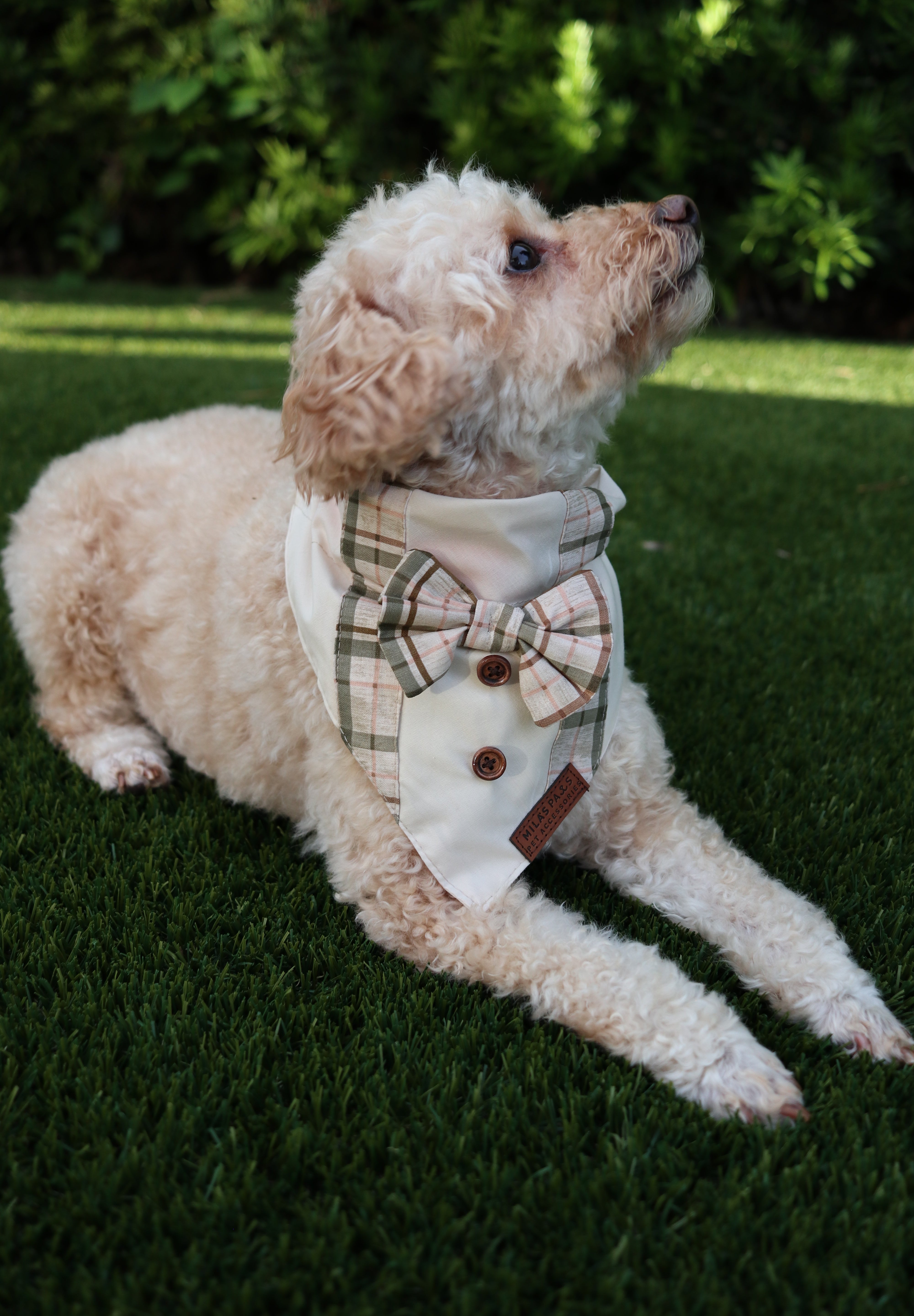 Harvest Gentleman Bandana