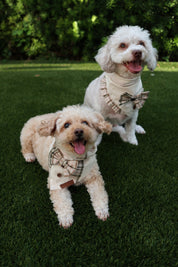 Harvest Gentleman Bandana