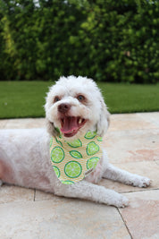 Limoncello Bandana