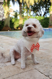 Fireside Picnic Bandana