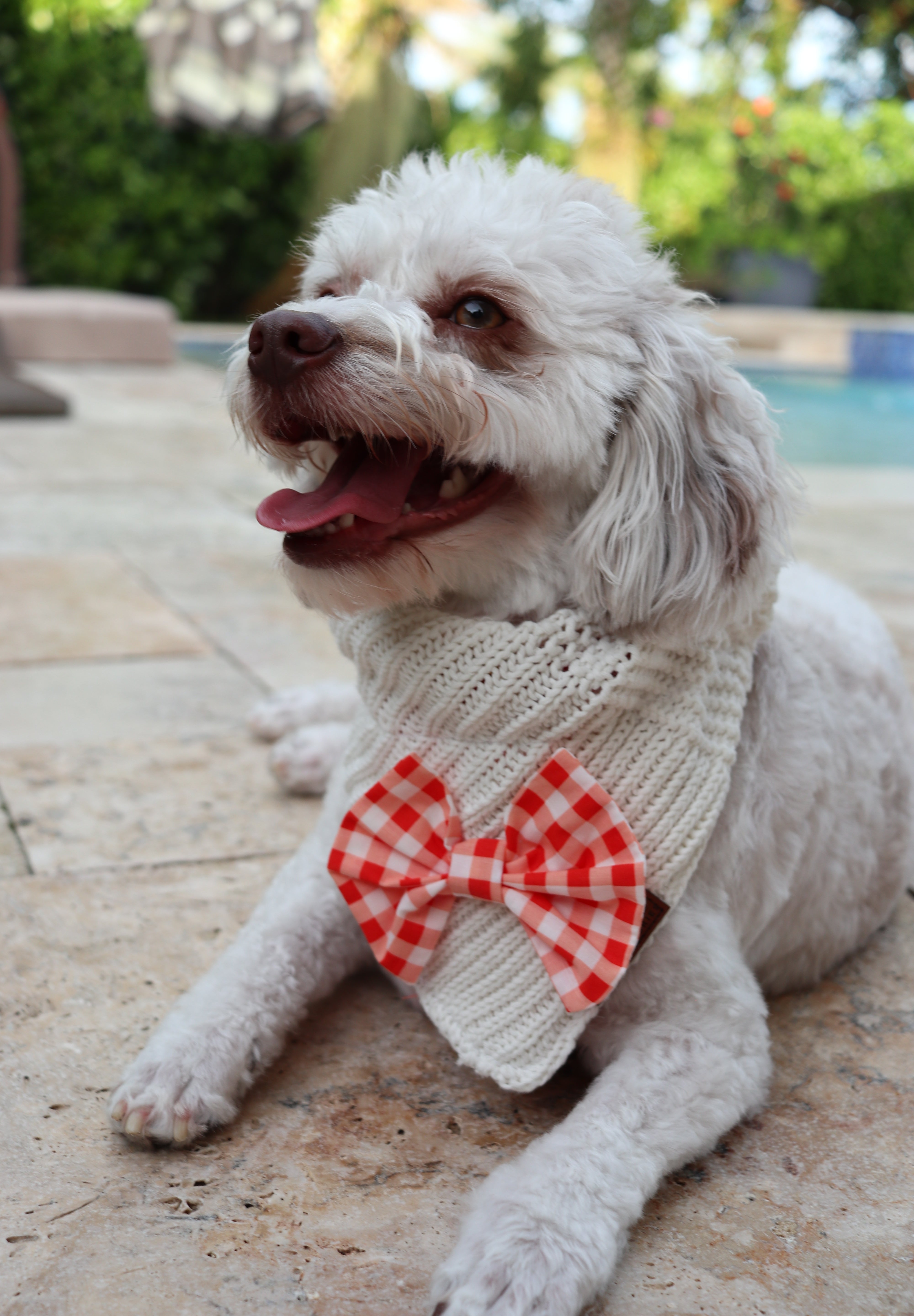 Fireside Picnic Bandana