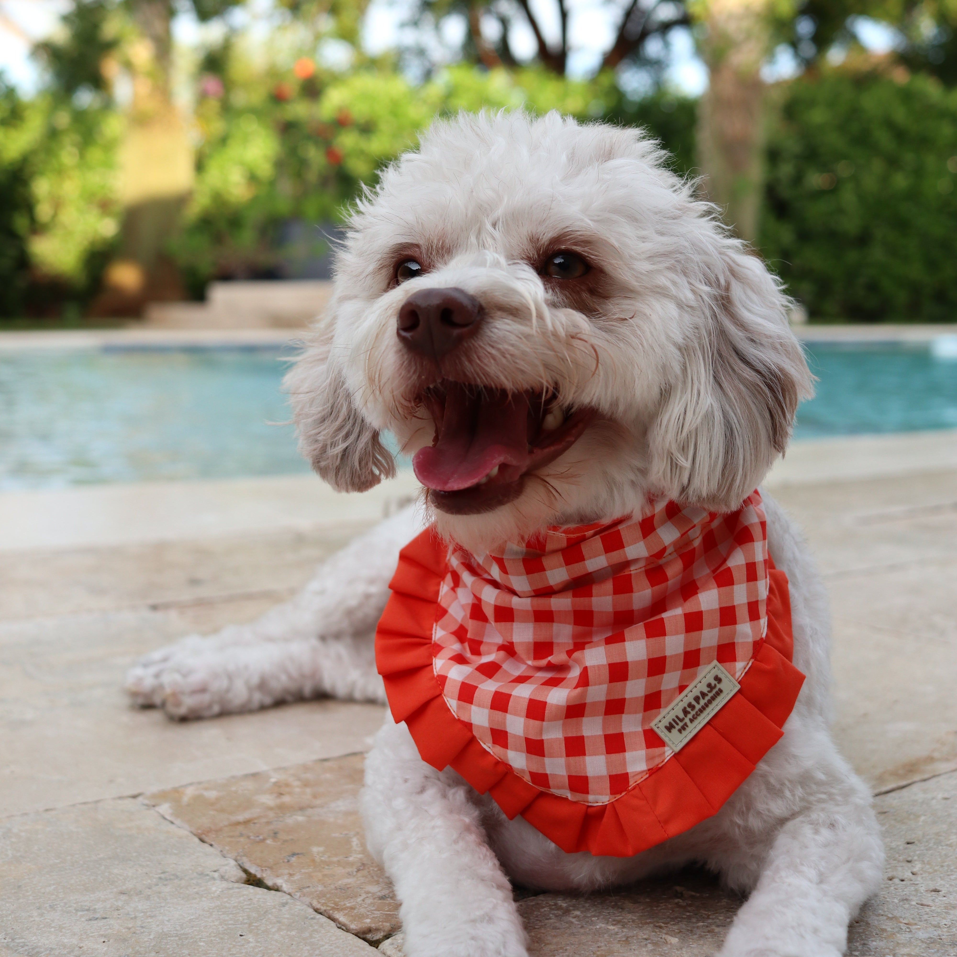 Orange and White Gingham Bandana