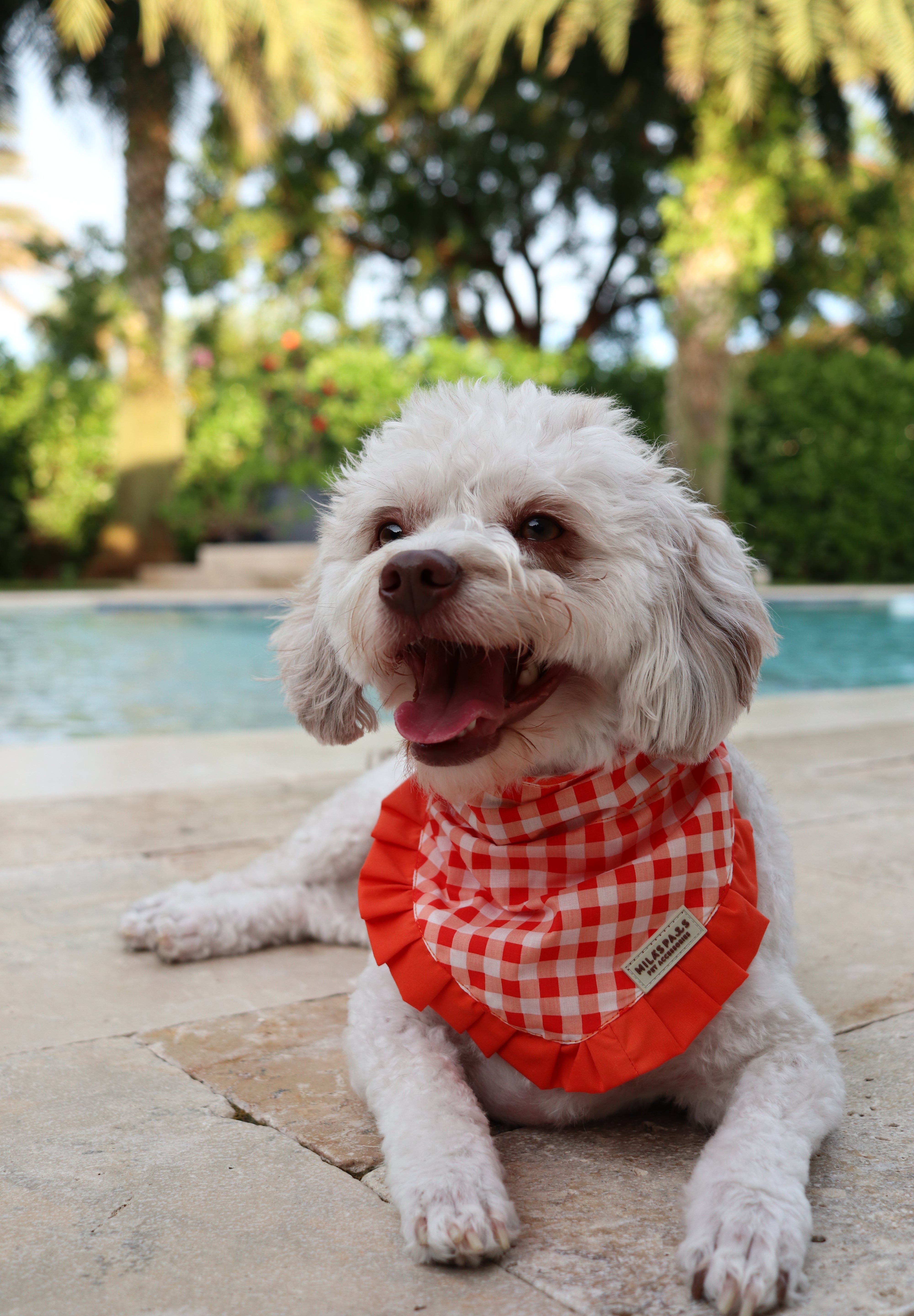 Orange and White Gingham Bandana