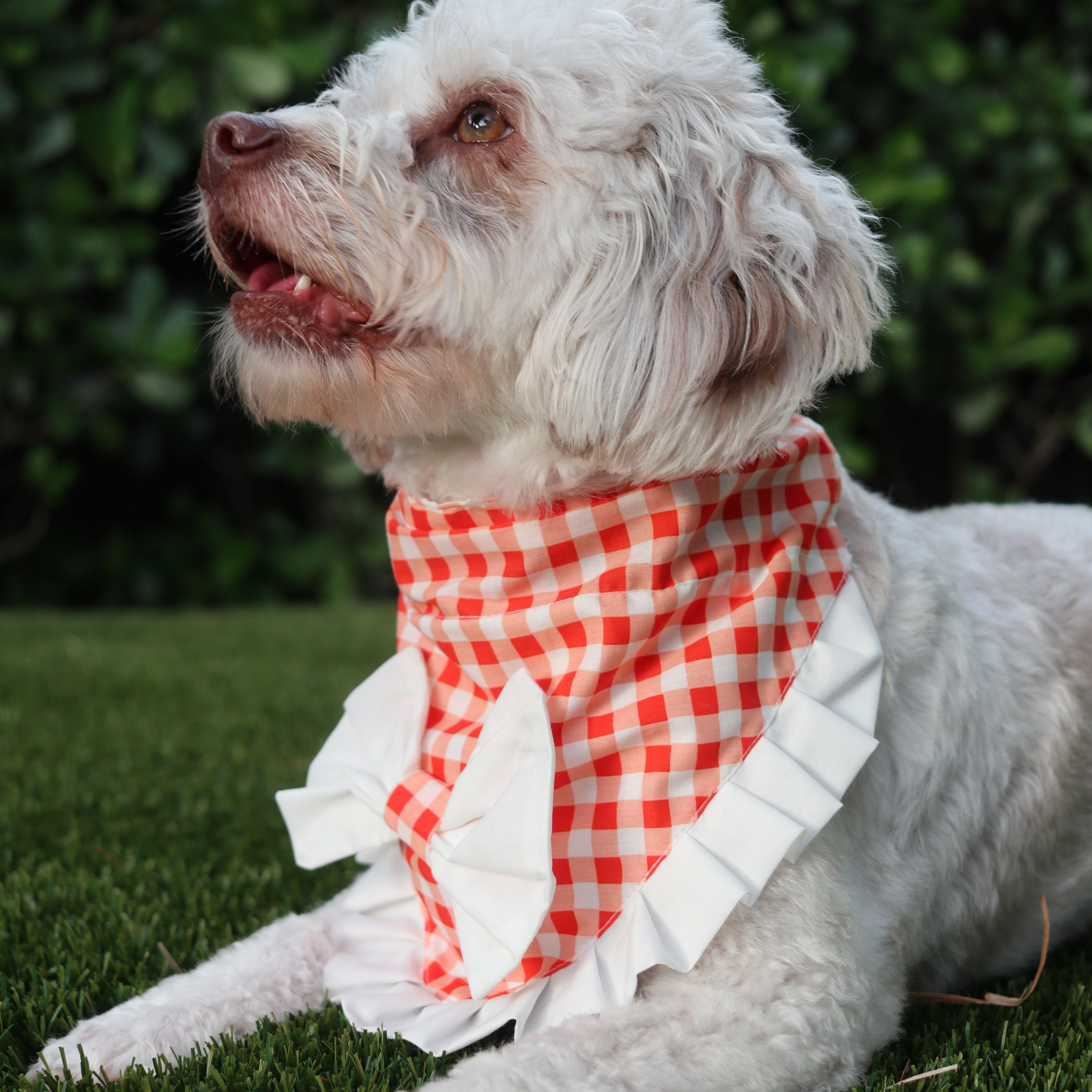 Orange and White Gingham Bandana