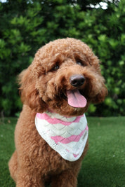 Pawsome Couture Bandana