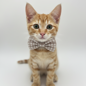 Nude Gingham Bowtie