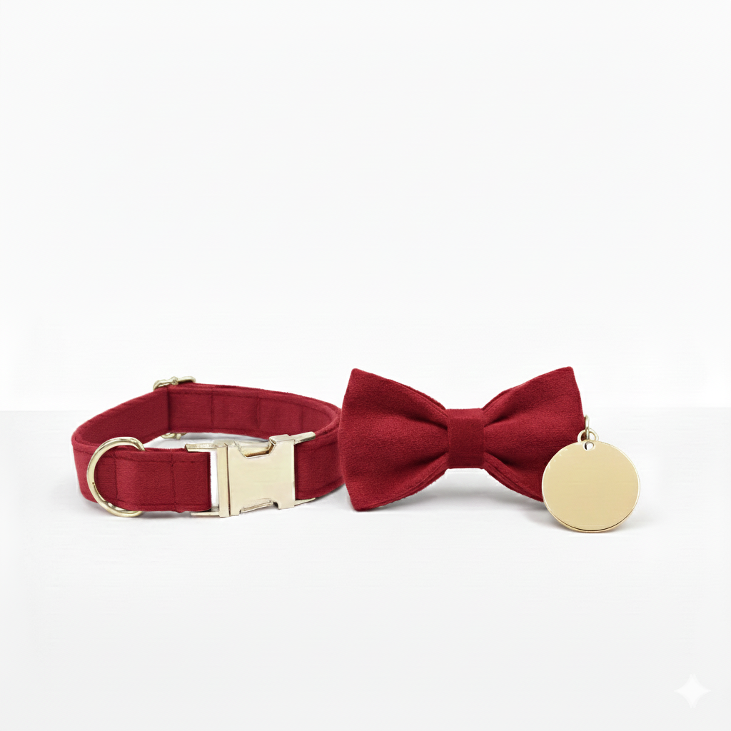 Paw Gift Bundle #1 - Collar, Charm & Bowtie