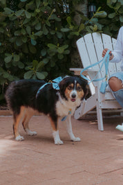 Light Drops Rope Deluxe Bundle