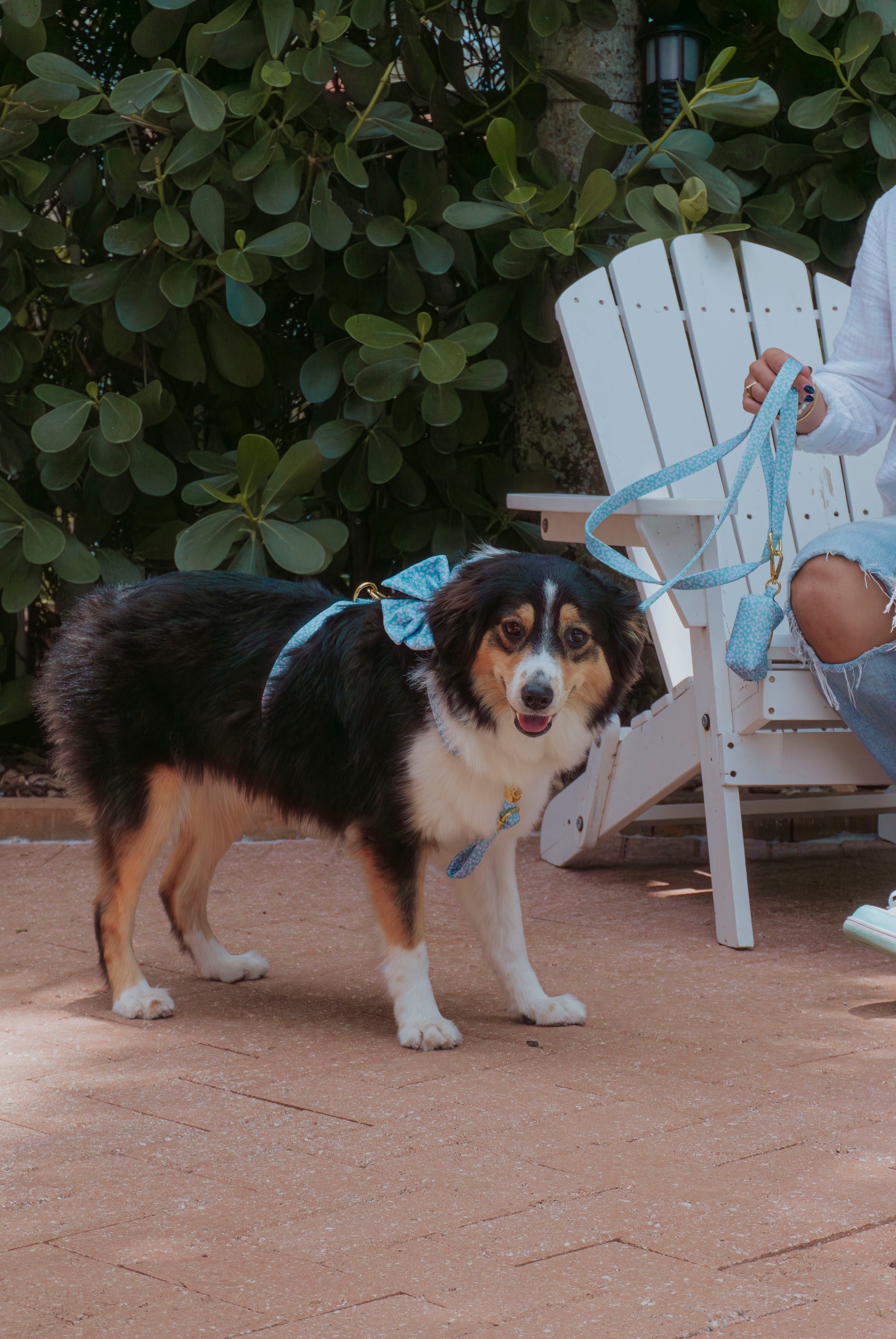 Light Drops Rope Deluxe Bundle