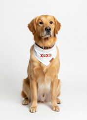 Amore Paws Bandana
