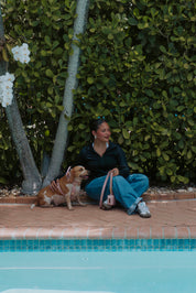 Velvet Deluxe Walking Bundle