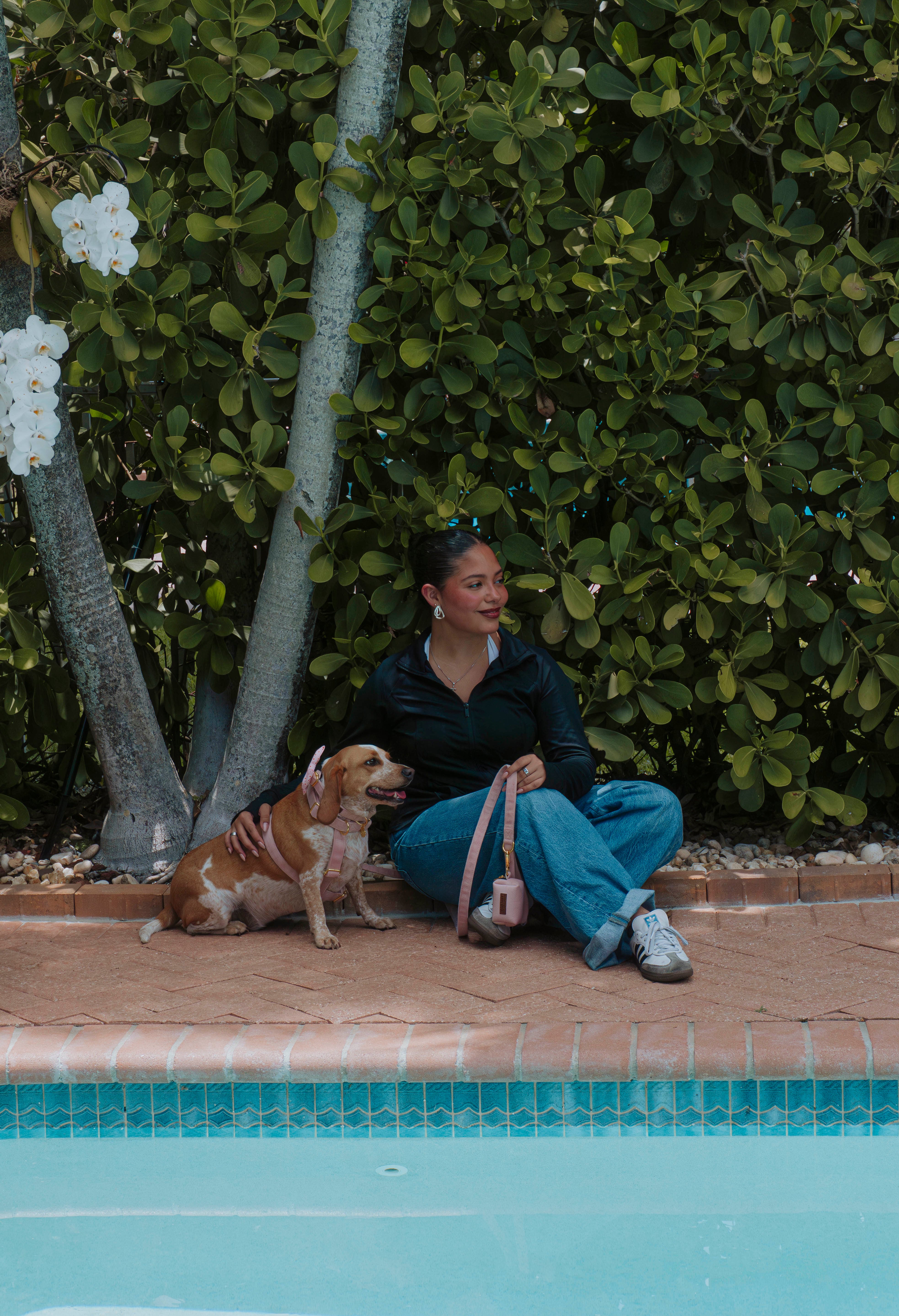 Velvet Deluxe Walking Bundle