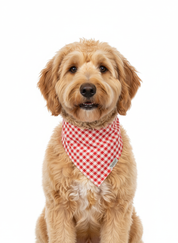 Orange and White Gingham Bandana